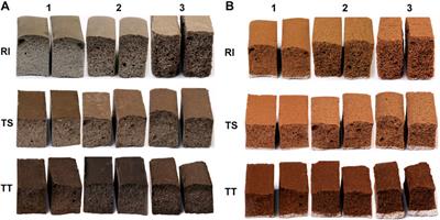 Characterization of Fly Ash Alkali Activated Foams Obtained Using Sodium Perborate Monohydrate as a Foaming Agent at Room and Elevated Temperatures